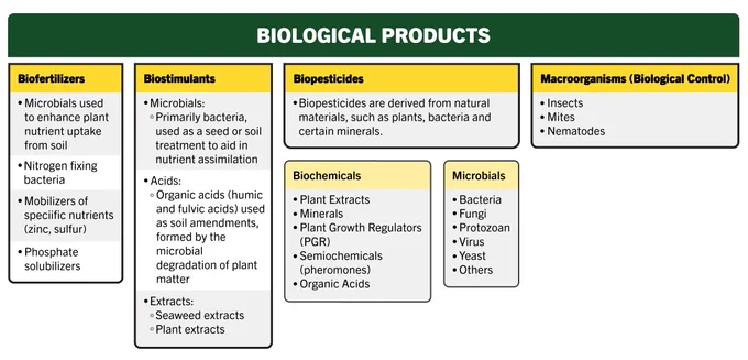Graphic showing the main types of biological products including biofertilizers, biostimulants, biopesticides which includes biochemicals and microbials, and macroorganisms. 