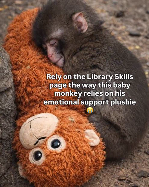Image of viral baby monkey hugging his plushie with the following text overlay: ‘Rely on the Library Skills page the way this baby monkey relies on his emotional support plushie’