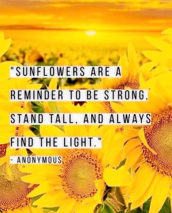 Some #MondayMotivation as I head into the hospital for cardiac testing and my first infusion. 

This is another Hell Week for medical testing.

To date, all the testing that I've done here in Canada has shown that my health is actually worse than it was than they thought in Taiwan. 

"Sunflowers a reminder to be strong, stand tall, and always find the light." ~ Anonymous
#ChronicTruths #KeepOnGoing  #MySeveralWorlds 