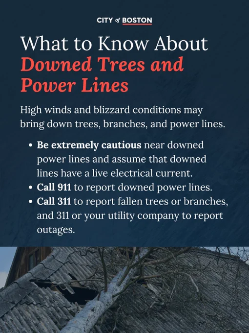 City of Boston advisory on dangers of downed trees and power lines during high winds and blizzards with emergency contact instructions.