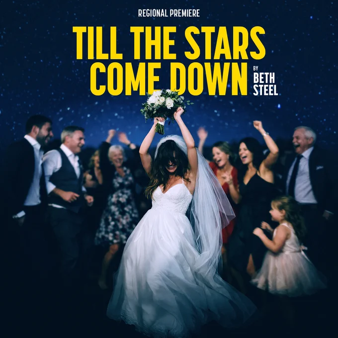 A starry nighttime sky. In the foreground a wedding party is in full swing. The bride in white is dancing in the middle, with her arms and bouquet above her head. She is surrounded by children, family members all in their wedding clothes, dancing and smiling. 