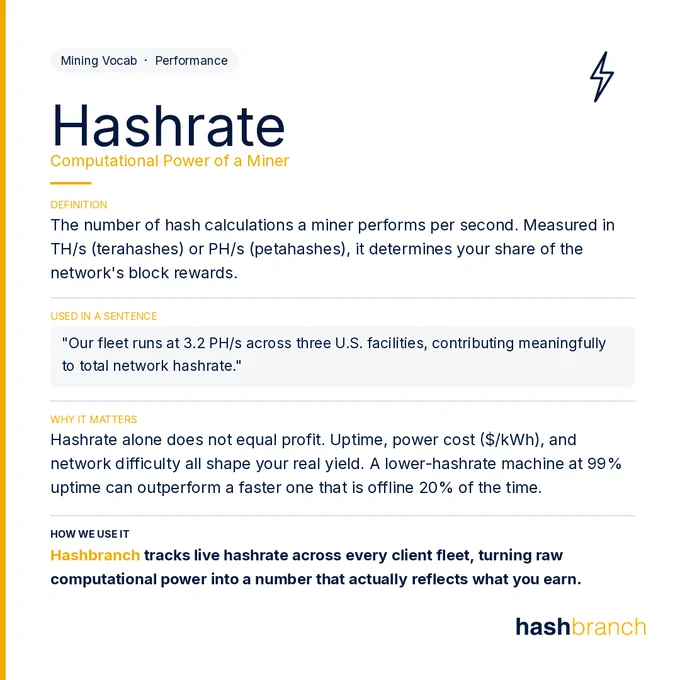 Hashbranch - Hashrate