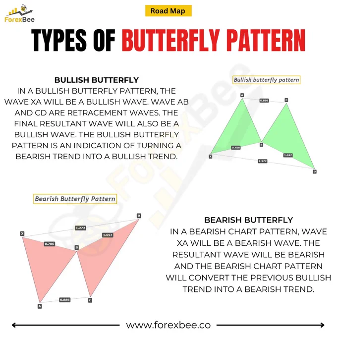 Butterfly Pattern Forex