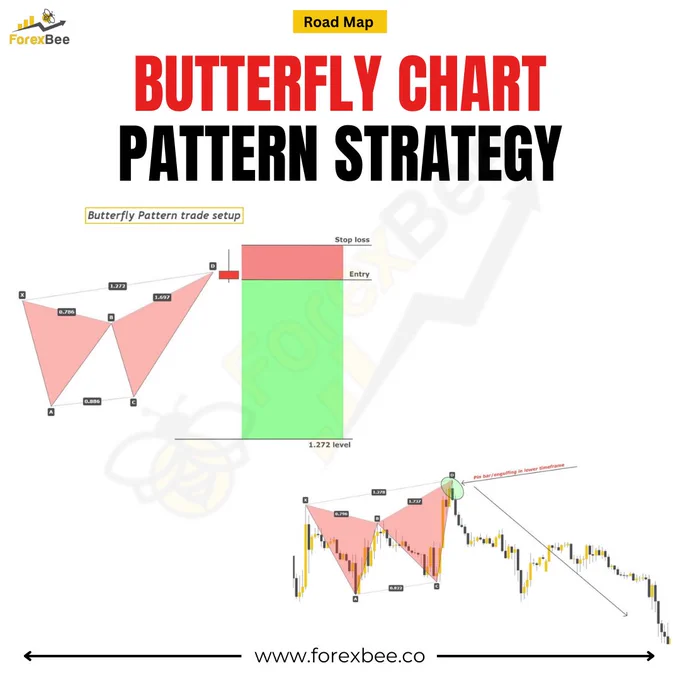 Butterfly Pattern Forex