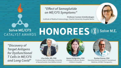 Collage highlighting Solve ME/CFS Catalyst Awards honorees with portraits and their research topics on ME/CFS and Long Covid.
