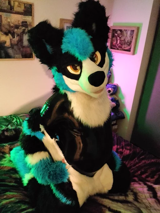 
Shadow kneeling on bed peeling fursuit back to reveal a shiny undercoat