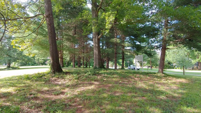 Wooded area.