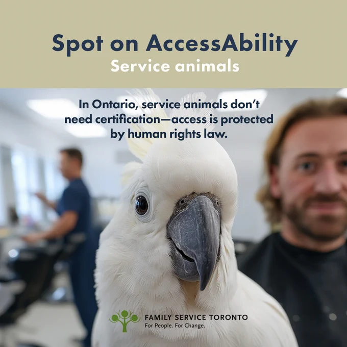 Image shows a man and a big white parrot in what looks like an office room. Text reads:
Spot on Accessibility
In Ontario, service animals don’t need certification—access is protected by human rights law.
Family Service Toronto logo is included at the bottom. 
