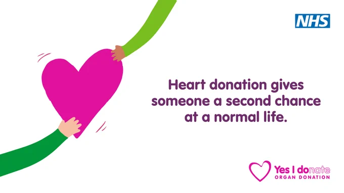 Two hands passing a large pink heart symbolizing heart donation and its life-saving impact.