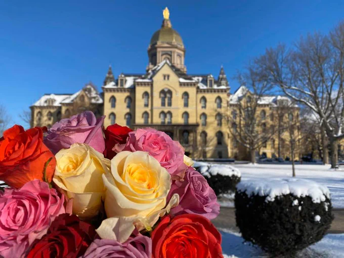 A vibrant bouquet of roses, featuring red, pink, purple, and yellow flowers, is held in the foreground. In the background, the Main Building at the University of Notre Dame is visible, topped with its iconic golden dome. The ground and trees are lightly covered with snow under a clear blue sky.