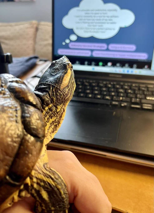 Logo the turtle watching a presentation from the virtual 2026 Sexuality, Disability, and the 
Power to DISRUPT conference!
