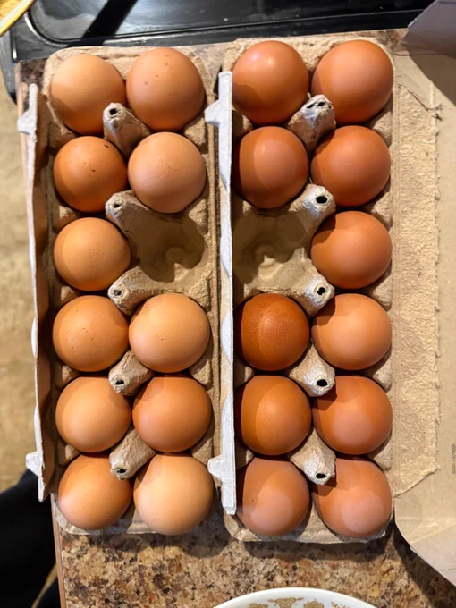 Two boxes of Vital Farms organic eggs side-by-side, one is L, the other is XL but hard to tell which is which with one outlier from each removed.