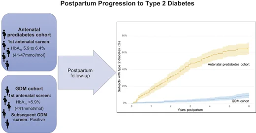 Flowchart and graph showing postpartum progression to Type 2 diabetes in prediabetes and GDM cohorts, with increasing percentage incidence over years postpartum.
