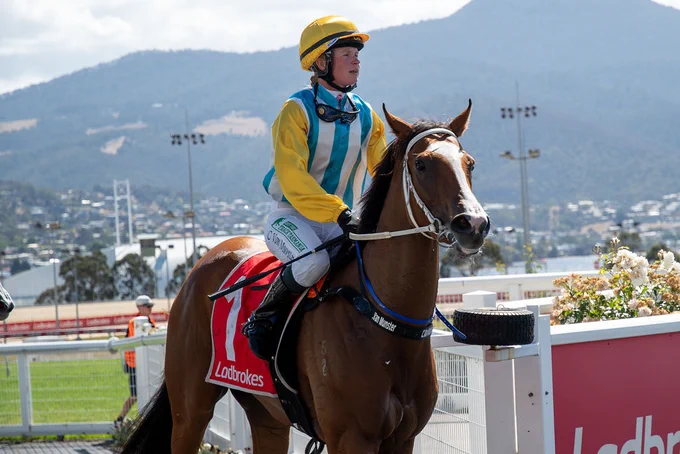 Magnolia Sky a 3 year old filly by Magnus out of the Savoire Vivre mare, Los Skybo. Purchased for $16k at 2024 Tas MM Sale