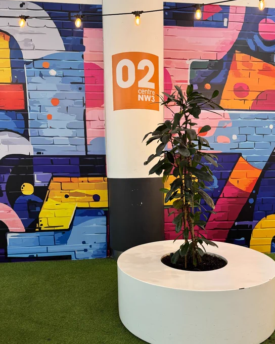 A white pillar with an "O2 Centre NW3" sign stands in front of a colourful graffiti-style mural. A plant in a round white planter is positioned nearby on the green carpeted floor. String lights hang above the scene.