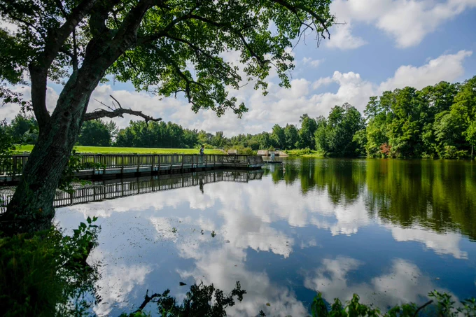 Lake Raleigh on Centennial Campus reflecting blue sky and fluffy clouds, bordered by lush green trees and a wooden dock extending over the water.