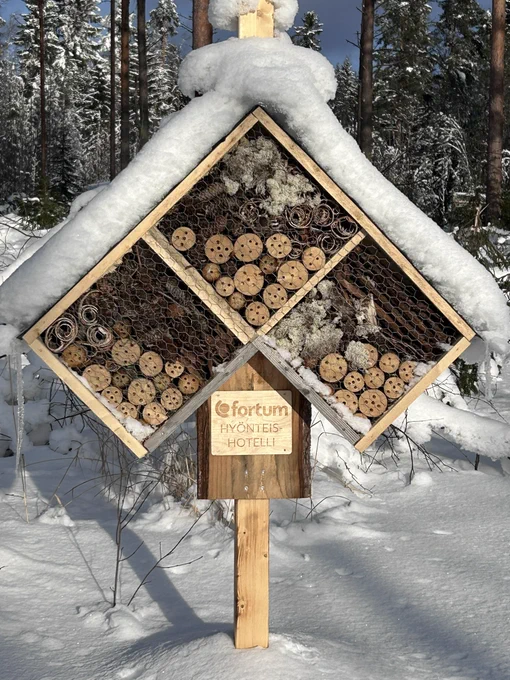 Hyönteishotelli