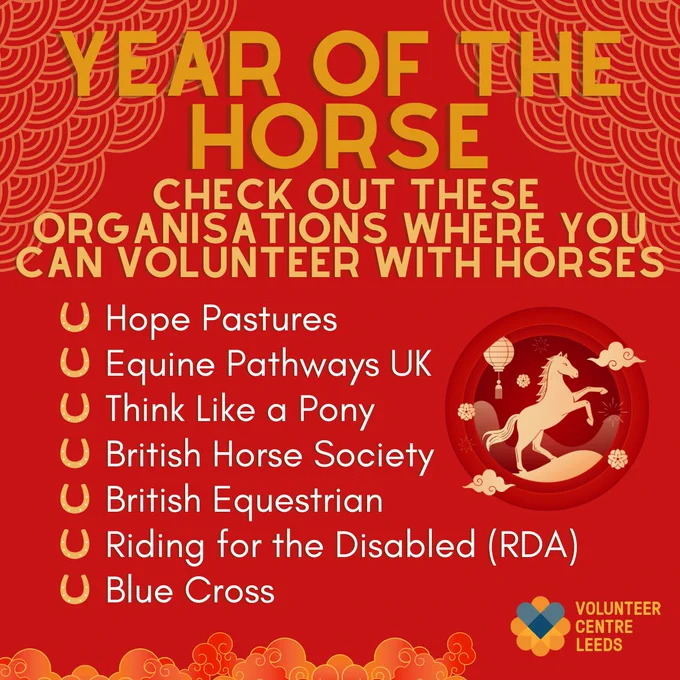 Year of the Horse - Check out these organisations where you can volunteer with horses: Hope Pastures, Equine Pathways UK, Think Like a Pony, British Horse Society, British Equestrian, Riding for the Disabled (RDA), Blue Cross. Volunteer Centre Leeds logo. Images of a horse and clouds.