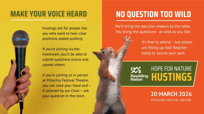 A split image. On the left, a hand holds a microphone against a yellow background. Text reads: "MAKE YOUR VOICE HEARD. Hustings are for people who want to hear clear positions, stated publicly. If joining via livestream, you'll be able to submit questions online and upvote others. In you're joining us in person at Pitlochry Festival Theatre, you can raise your hand and - if selected by our chair - ask your question in the room." On the right, a red squirrel on an orange background has one paw raised, as if asking a question. Text reads: "No Question Too Wild. We’ll bring the decision-makers to the table. You bring the questions - as wild as you like. It’s free to attend – but places are filling up fast! Register today to secure your spot. Rewilding Nation. Hope for Nature Hustings. 20 March 2026. Pitlochry Festival Theatre."
