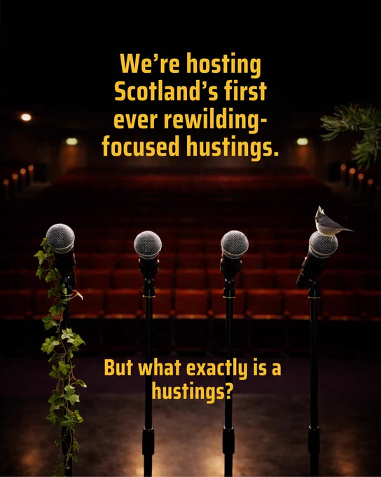 Four microphones stand on a dimly lit stage, with one decorated with green ivy and another with a small bird perched on it. Above, bold text reads, "We're hosting Scotland's first ever rewilding-focused hustings. But what exactly is a hustings?" Rows of empty seats are visible in the background.