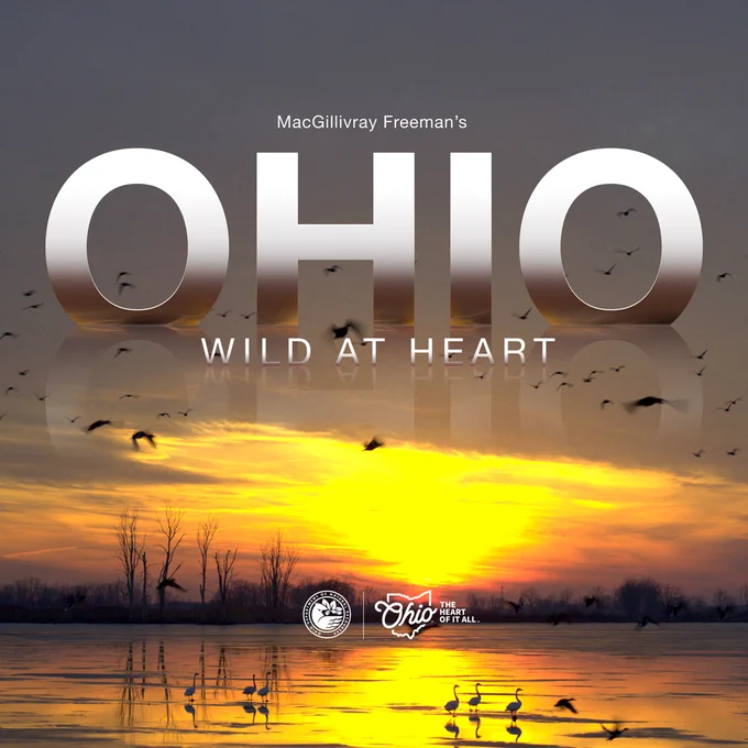 MacGillivray Freeman’s Ohio: Wild at Heart showing a sunrise over a reflective lake with silhouettes of birds flying and wading in the water. Large metallic letters spell ‘OHIO’ above the scene, with ‘Wild at Heart’ below. Logos for the Ohio Department of Natural Resources and ‘Ohio, The Heart of It All’ at the bottom. 