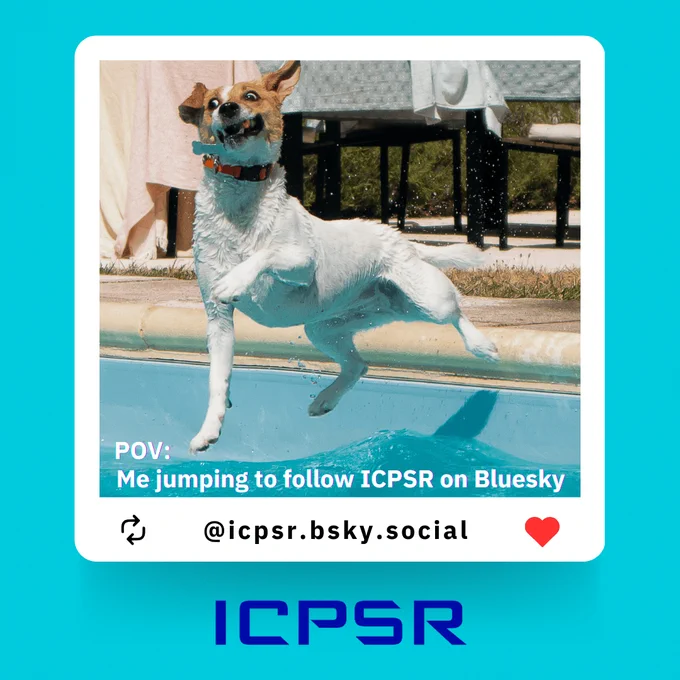 A small white and brown dog, mid-air jumping into a swimming pool with a funny expression on its face. Text: POV: Me jumping to follow ICPSR on Bluesky @icpsr.bsky.social