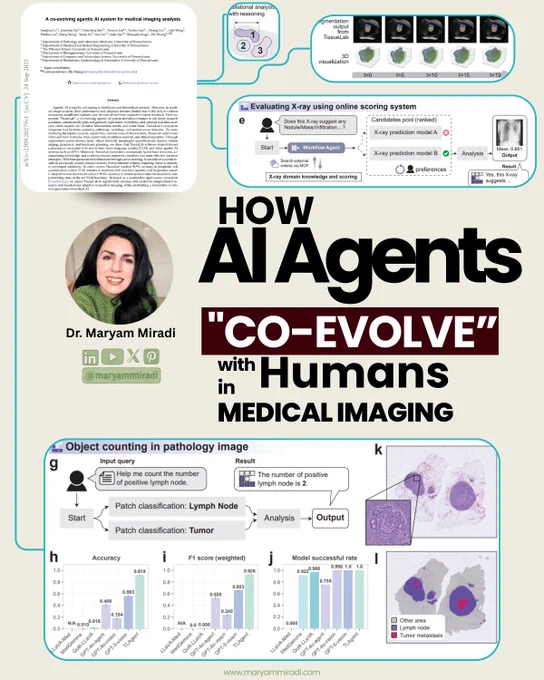 Infographic about How AI Agents Co-Evolve with Humans in Medical Imaging created by Dr. Maryam Miradi