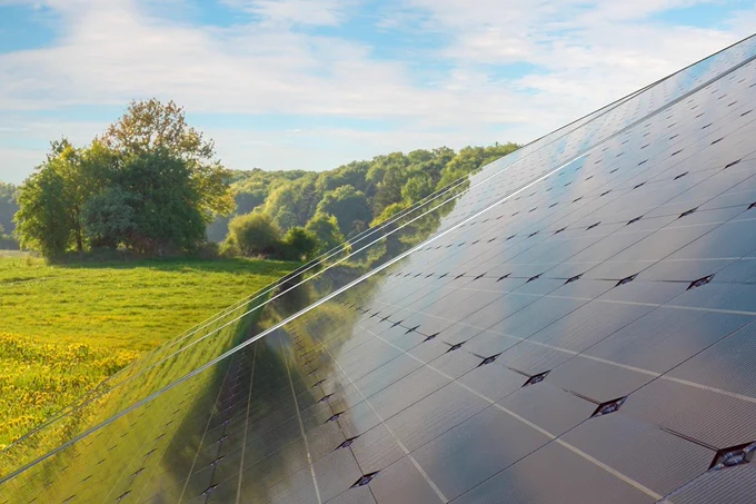 Fenwick Solar Farm