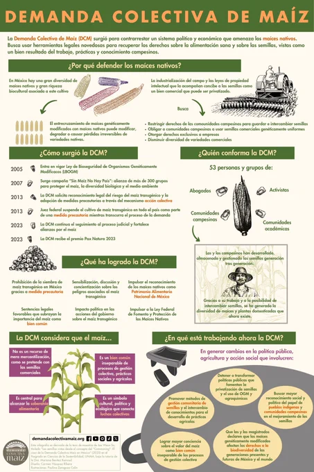 A través del análisis de bien común se indaga en cómo la Demanda Colectiva desde el 2013 protege el MAÍZ como elemento fundamental de la identidad cultural y biológica de México.