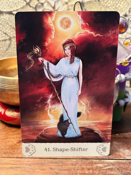 COTD *Shape-Shifter* Tap into your Spirit Animal to gain access to higher levels of your gifts and talents. You may also experience the gift of seeing yourself in a new light, the way your Guides see you. Perfect. Beautiful. Amazing. Worthy of love, abundance and joy. 

#cardoftheday