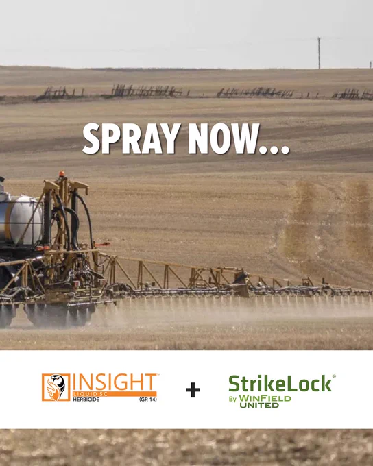 A large agricultural sprayer operates in an expansive field, with rolling hills and fences in the background. The text "SPRAY NOW..." appears prominently at the top. Logos for "INSIGHT" Herbicide and "StrikeLock by WinField United" are at the bottom.