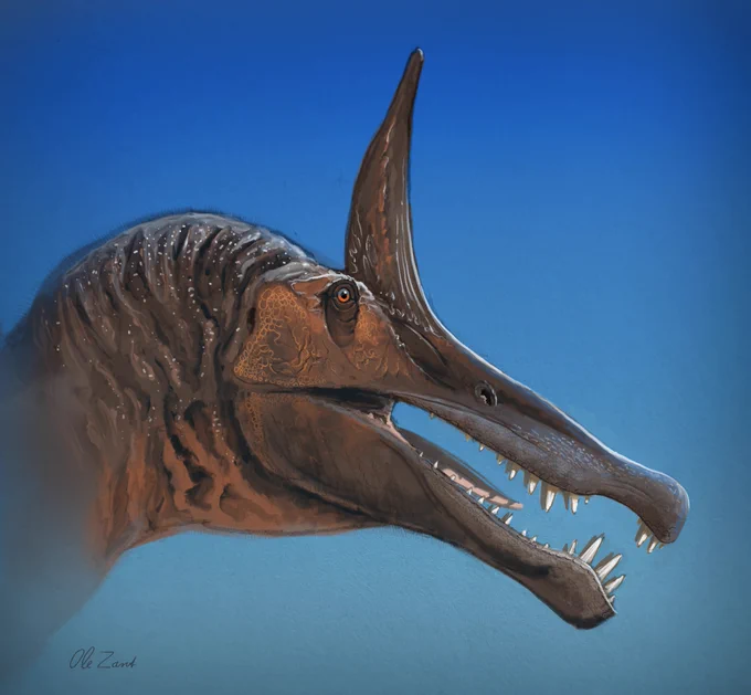 Sketch of Spinosaurus mirabilis by Ole Zant