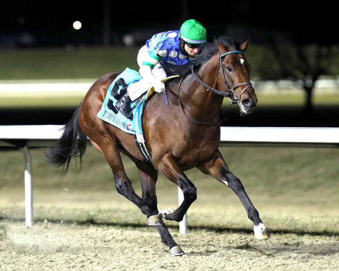 Street Beast winning Turfway Park's Leonatus Stakes. Coady Media/Renee Torbit