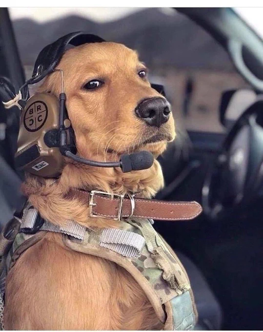 Do pilots know what absolutely every single button and switch in the cockpit does? Answer by Jim Guibault