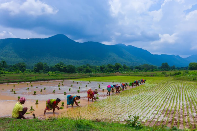 Photo by Jagamohan Senapati on Unsplash