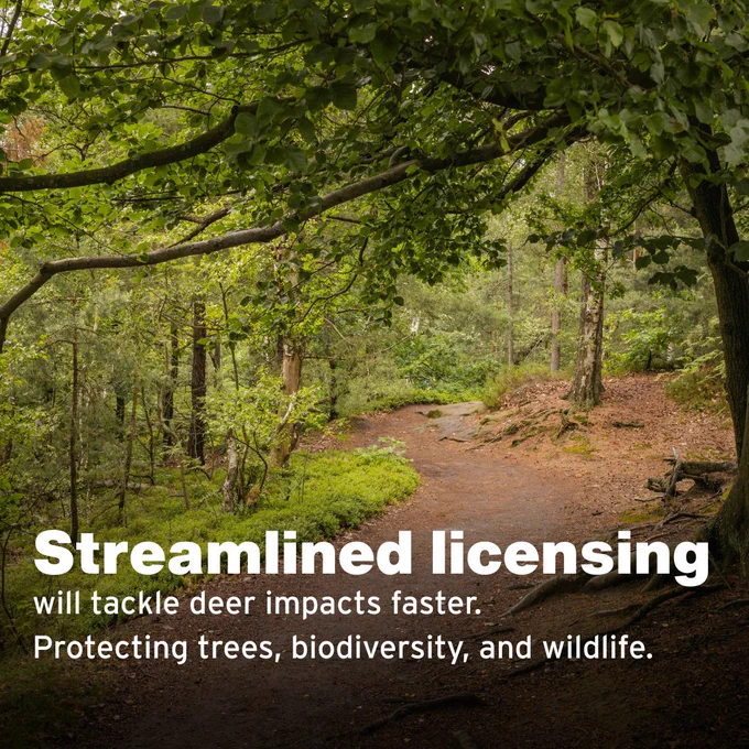 A forest path surrounded by lush greenery, with text about streamlined licensing tackling deer impacts to protect trees, biodiversity, and wildlife.