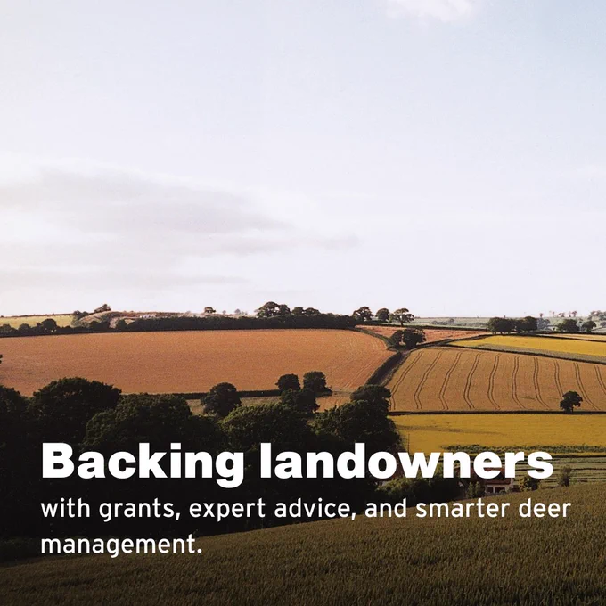 A scenic view of a rural landscape with rolling fields divided by lines of trees. Overlay text states: "Backing landowners with grants, expert advice, and smarter deer management."