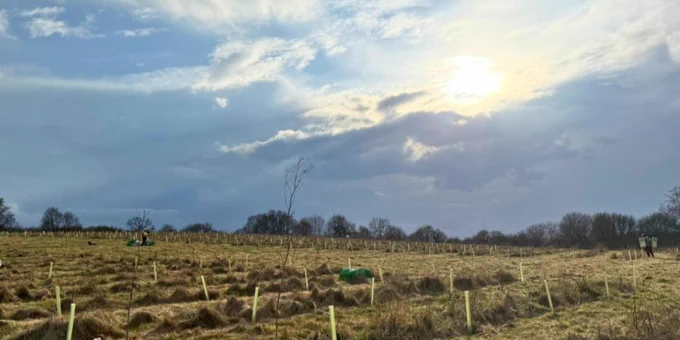 Tree planting taking place at Rose and Lion Wood