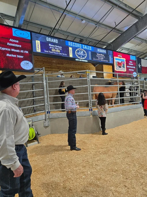 A livestock auction scene inside a large building with several people present. A large steer is in a pen on a platform. Above, digital signage displays "Grand Record Sales," a price of $20,000, and indicates "Market Steer." Hay covers the ground, and a Texas flag hangs on the wall.