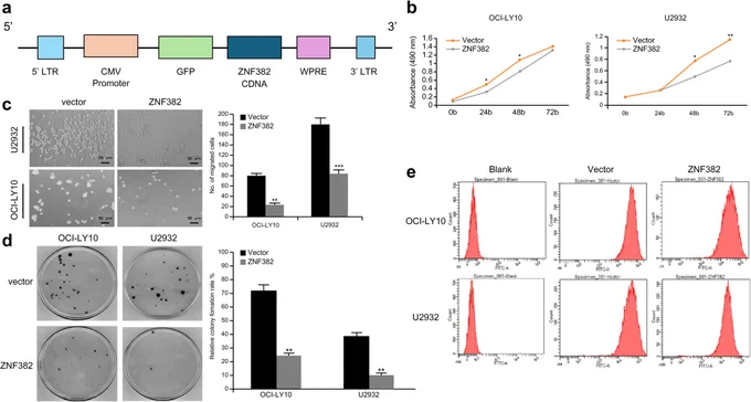 An et al., Cancer Reports, https://doi.org/10.1002/cnr2.70502