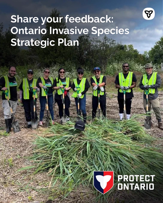 A group of people in safety vests standing in a field posing for a photo.
Text: Share your feedback: Ontario Invasive Species Strategic Plan