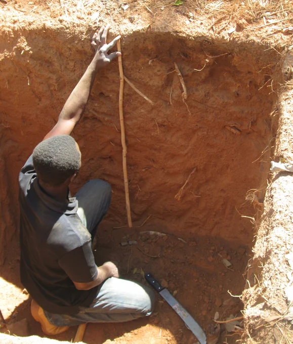 a man kneeling low in a soil pit. He is using a stick to measure lengths along the side of the pit, as well as taking soil samples with a large knife to be analyzed in the lab later.