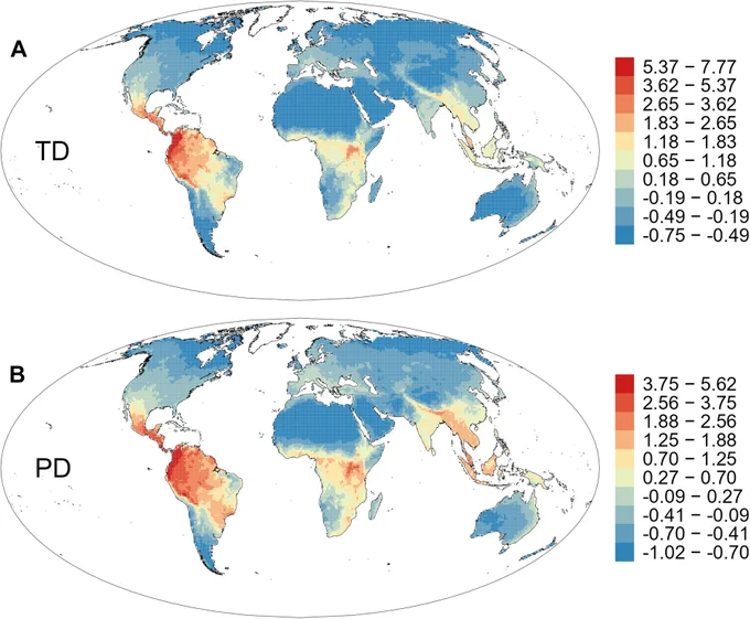 Geographic patterns of (A) taxonomic (species) diversity (TD) and (B) phylogenetic diversity (PD) for butterflies worldwide. The geographic variation of TD and PD is similar. They both peaked in tropical South America and were lowest in arid or cold regions such as northern Africa, western Australia, central Asia, and areas at high latitudes in both Northern and Southern Hemispheres. However, TD and PD diverge in some regions.