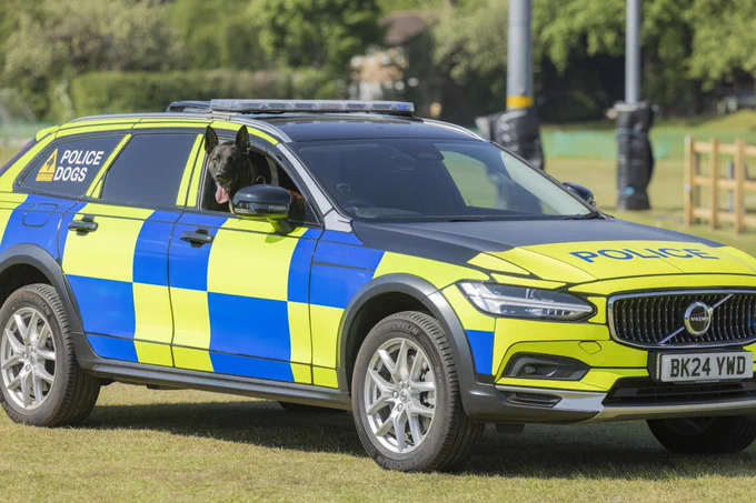 A belgian malinois in a police car