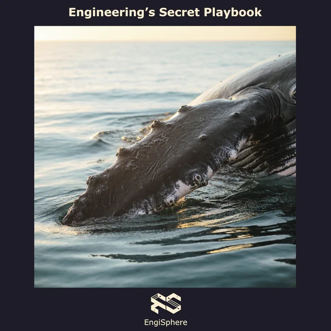 Engineer's Secret Playbook
