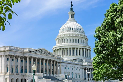 The U.S. Capitol building under a clear blue sky, framed by green trees on a sunny day.