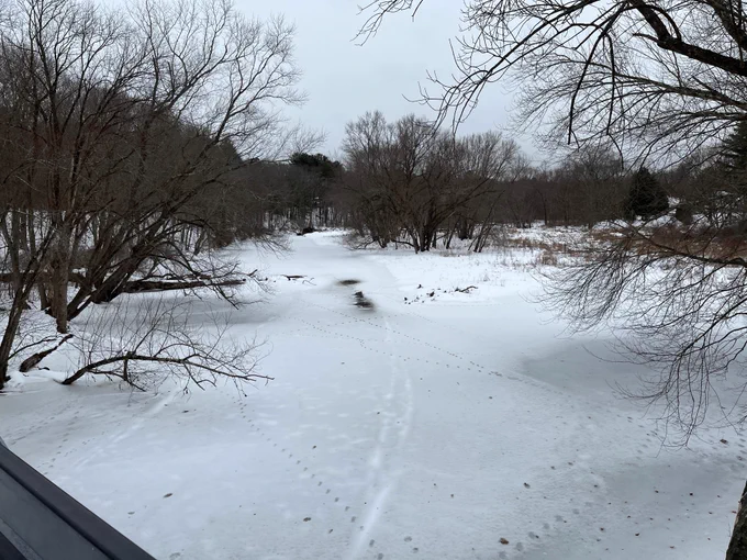 The frozen Assabet River covered with snow with only a bit of open water showing, as seen from the Bruce Freeman Rail Trail bridge. Animal tracks in the snow are visible and the view is framed by bare trees.