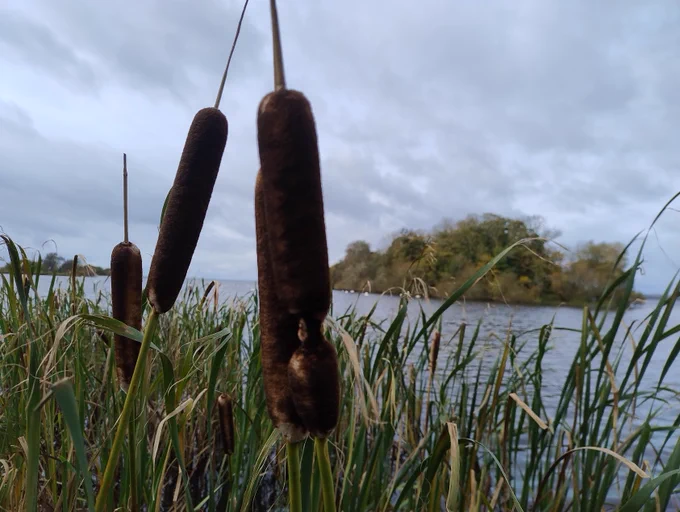 Photo of Lough Neagh by Peter Harper