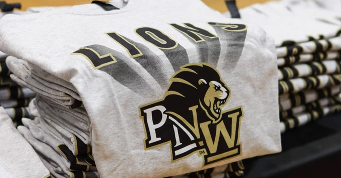 A stack of gray T-shirts with a black and gold "LIONS" design, featuring a lion's head and the initials "PNW" prominently displayed.