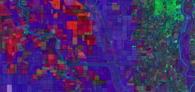 False-color satellite image of agricultural fields shown in a grid of vibrant reds, purples, and greens.